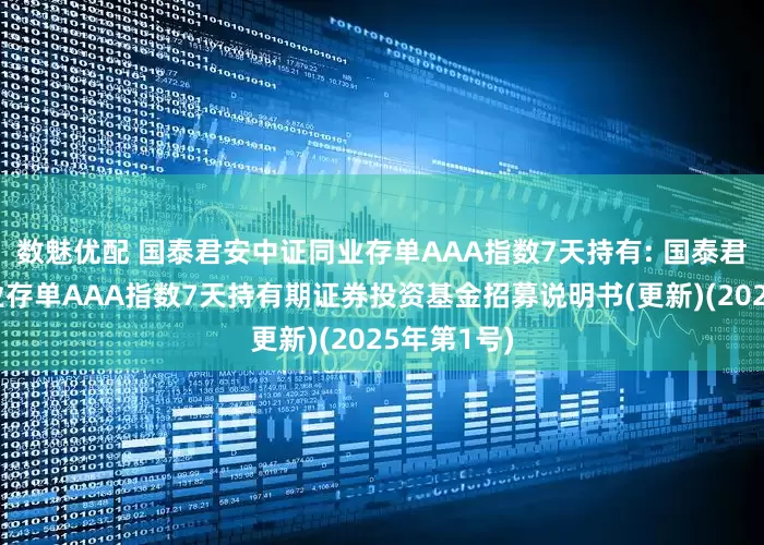 数魅优配 国泰君安中证同业存单AAA指数7天持有: 国泰君安中证同业存单AAA指数7天持有期证券投资基金招募说明书(更新)(2025年第1号)