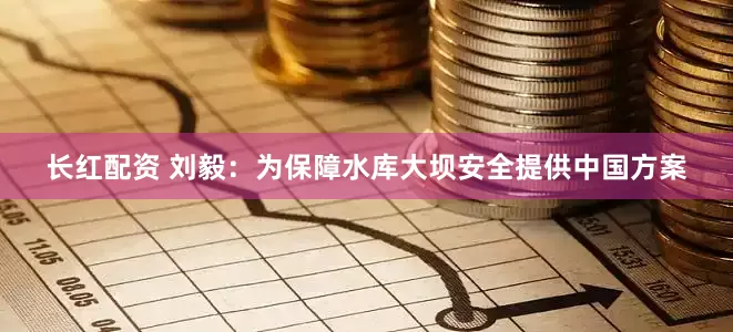 长红配资 刘毅：为保障水库大坝安全提供中国方案