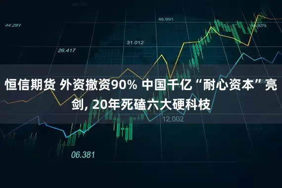 恒信期货 外资撤资90% 中国千亿“耐心资本”亮剑, 20年死磕六大硬科枝