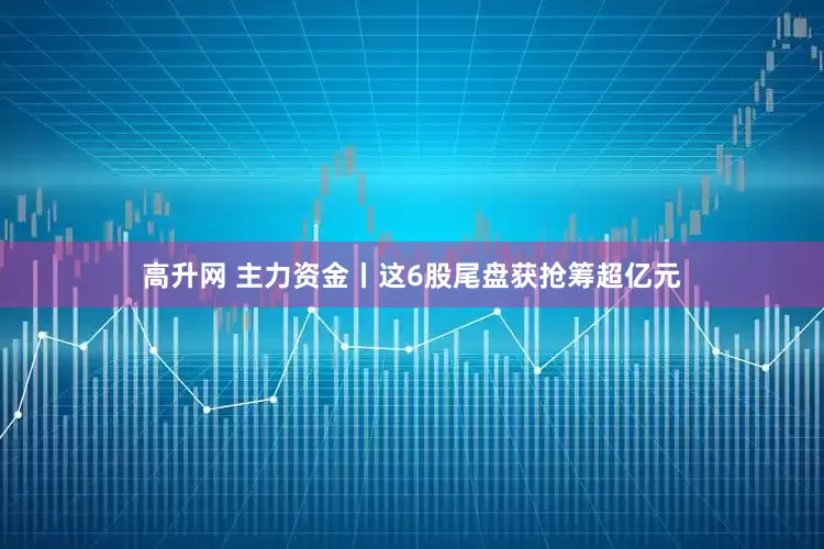 高升网 主力资金丨这6股尾盘获抢筹超亿元